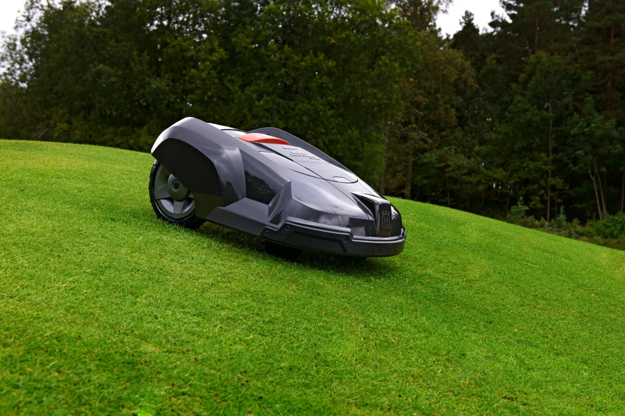 Robotgräsklippare En robotgräsklippare klipper gräs på en sluttande, välskött gräsmatta med träd och tät grönska i bakgrunden.