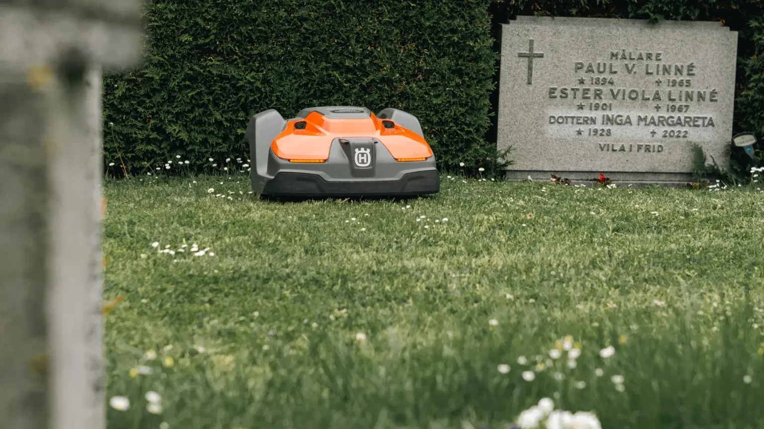 En orange robotgräsklippare kör på gräset nära en gravsten på en kyrkogård, med grönska och små vita blommor utspridda över gräsmattan.